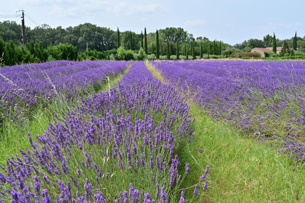 Gite De Charme "Puisneuf" Proche De Uzes Flaux Exterior foto
