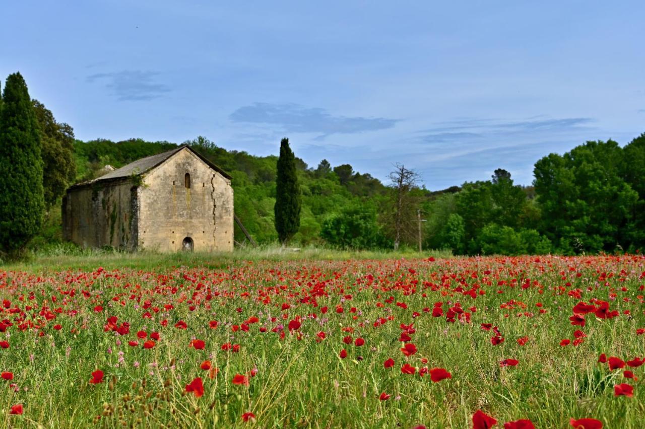 Gite De Charme "Puisneuf" Proche De Uzes Flaux Exterior foto
